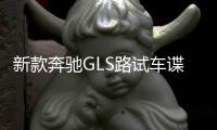 新款奔驰GLS路试车谍照曝光 外观有明显变化